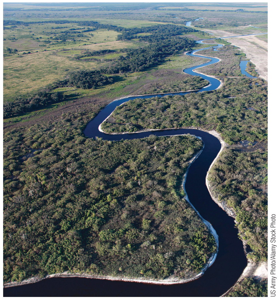 Aerial view of a winding river through wetlands and forest
