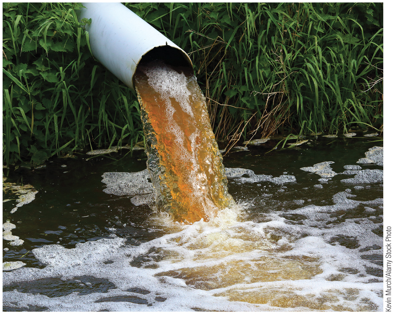 Discolored water pouring from a discharge pipe into a stream