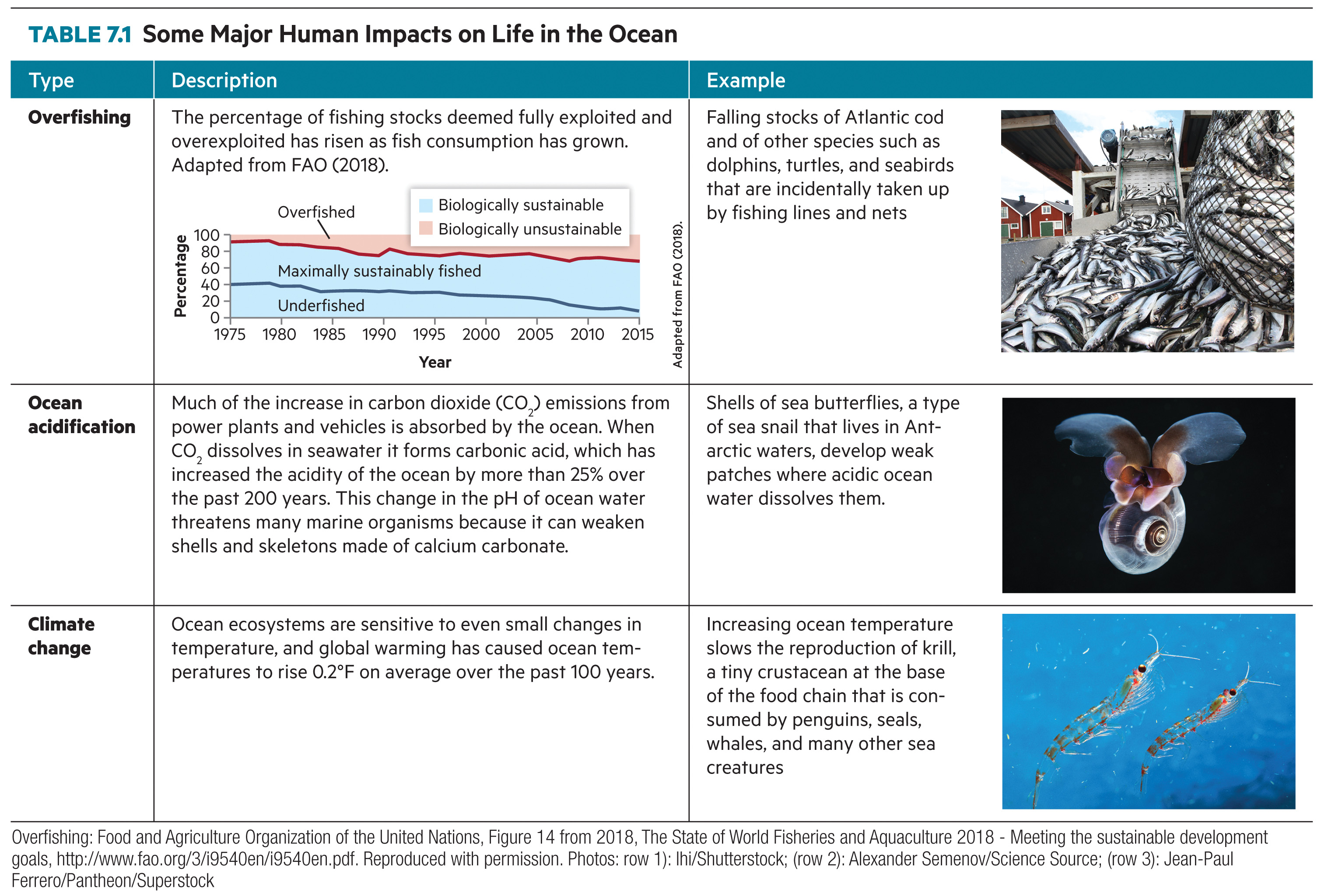 Table 7.1, part 2: overfishing (a chart of the rising share of overfished stocks since 1975), ocean acidification (a sea butterfly), and climate change (krill), each with a description.
